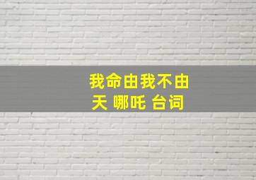 我命由我不由天 哪吒 台词